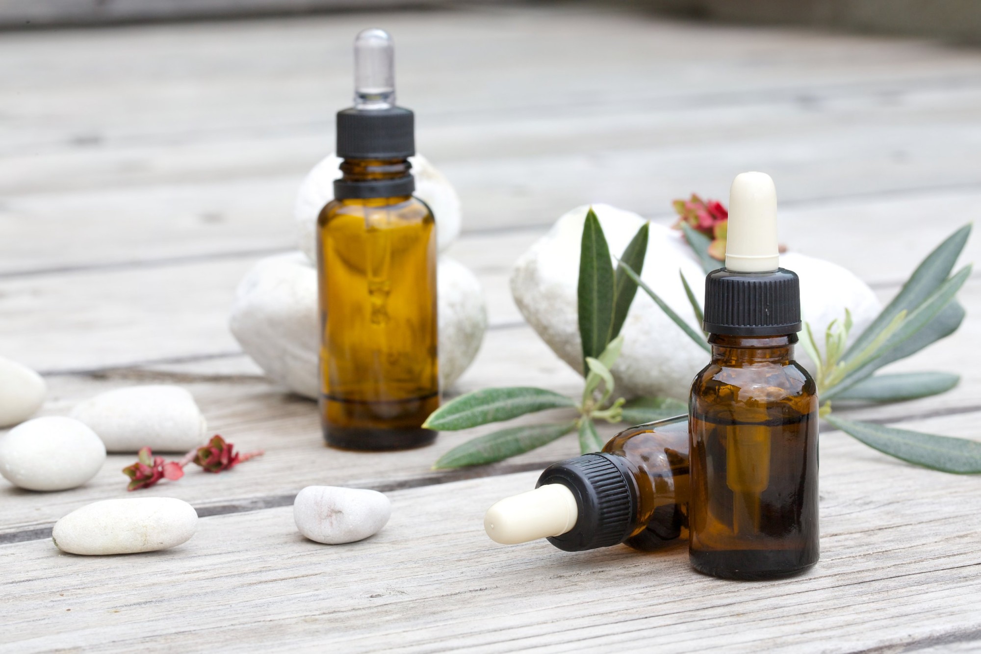 台北希望小站-疼痛專題講座暨聯合病友會